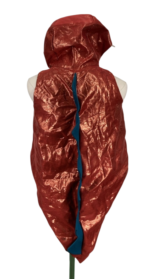 Meri Meri Dinosaur Costume Discount