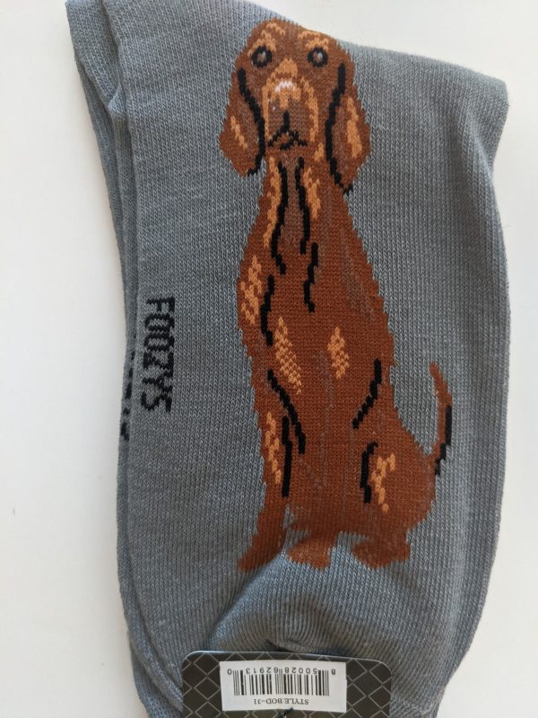 Vizsla - Men s Beware of Dog Canine Collection - BOD-31 Supply - Image 2